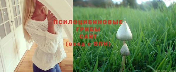 Альфа ПВП Баксан