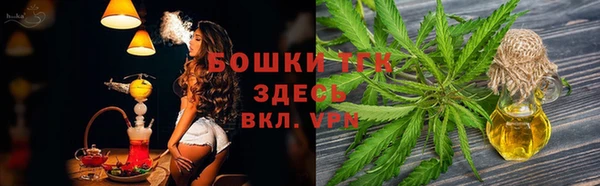бошки Белокуриха