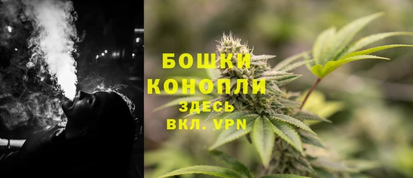 бошки Белокуриха