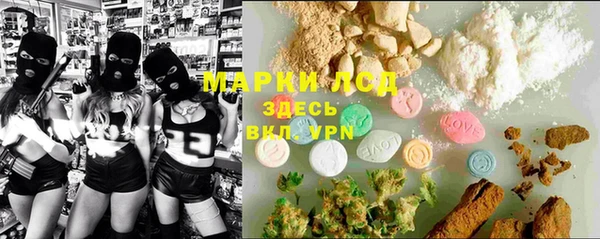индика Семёнов